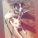 Ersteller:in Franziska Profilbild