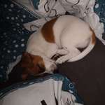 Ersteller:in Trisha Profilbild