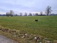 Hundeauslaufgebiet-Rundweg  Türkheim  Berg-Bild
