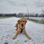 Ersteller:in Fiona Profilbild