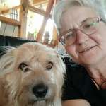 Ersteller:in Urse Profilbild