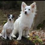 Ersteller:in Emmi Profilbild