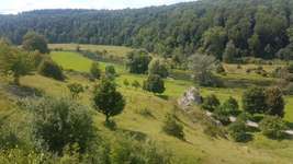 Hundeauslaufgebiet-Eselsburger Tal-Bild