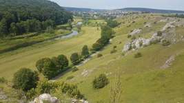 Hundeauslaufgebiet-Eselsburger Tal-Bild