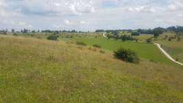 Hundeauslaufgebiet-Eselsburger Tal-Bild