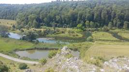 Hundeauslaufgebiet-Eselsburger Tal-Bild