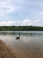 Hundeauslaufgebiet-Höhenfelder See-Bild