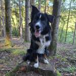 Ersteller:in Sarah Profilbild