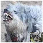 26. Handy Foto Challenge-Beitrag-Bild