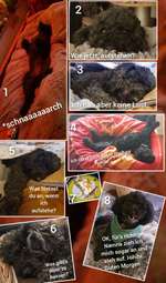 1. Kurzgeschichten Challenge  - Thema:  ...Los, aufstehen-Beitrag-Bild