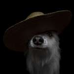 Ersteller:in Nadine Profilbild