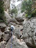 Hundeschuhe zum Wandern-Beitrag-Bild