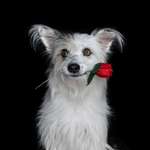 Für ein besseres Miteinander - was kann jeder einzelne von uns tun?-Beitrag-Bild