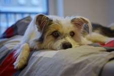 Allheilmittel Deckentraining-Beitrag-Bild