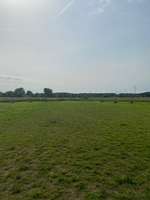 Hundeauslaufgebiet-Hundewiese Horneburg-Bild