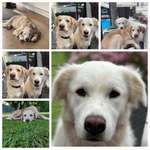 Ersteller:in Steffi Profilbild