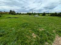 Hundeauslaufgebiet-Hundewiese Eppelheim-Bild