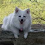 Ersteller:in Nicola und Flocki Profilbild