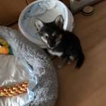 Ersteller:in Pia Profilbild