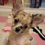 Ersteller:in Linda Profilbild