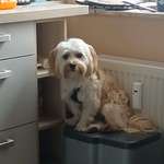 Ersteller:in Thomas Profilbild