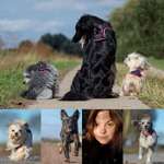 Ersteller:in Fabienne mit Profilbild