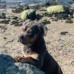 Ersteller:in Mandy Profilbild