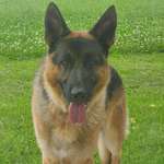 Ersteller:in Tatjana Profilbild