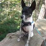 Ersteller:in Kerstin Profilbild