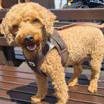 Ersteller:in Gila Profilbild