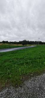 Hundeauslaufgebiet-Ehemaliger Rennplatz-Bild