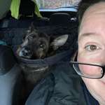 Ersteller:in Aysel Profilbild