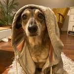 Ersteller:in Daniela Profilbild