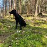 Ersteller:in Lisa Profilbild