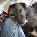 Ersteller:in Rieke Profilbild