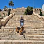 Ersteller:in Nataly Profilbild