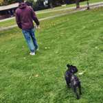 Ersteller:in Torén Profilbild