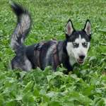 Ersteller:in Eric Profilbild