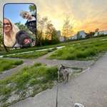 Ersteller:in Celina Profilbild