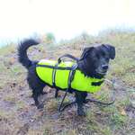 Ersteller:in Grimm Profilbild