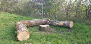 Hundeauslaufgebiet-Schwedt-Bild