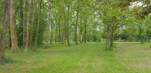 Hundeauslaufgebiet-Schwedt-Bild