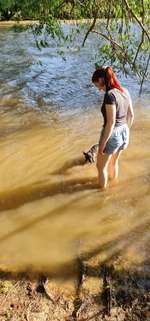 Hundeauslaufgebiet-Hundebade Strand-Bild