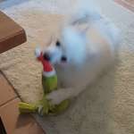 Ersteller:in Manuela Profilbild