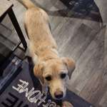 Ersteller:in Eileen Profilbild