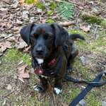 Ersteller:in Doro Profilbild