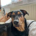 Ersteller:in Ben Profilbild