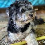 Ersteller:in Hannah Profilbild