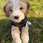 Ersteller:in Julia Profilbild