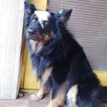 Ersteller:in Sebastian Profilbild